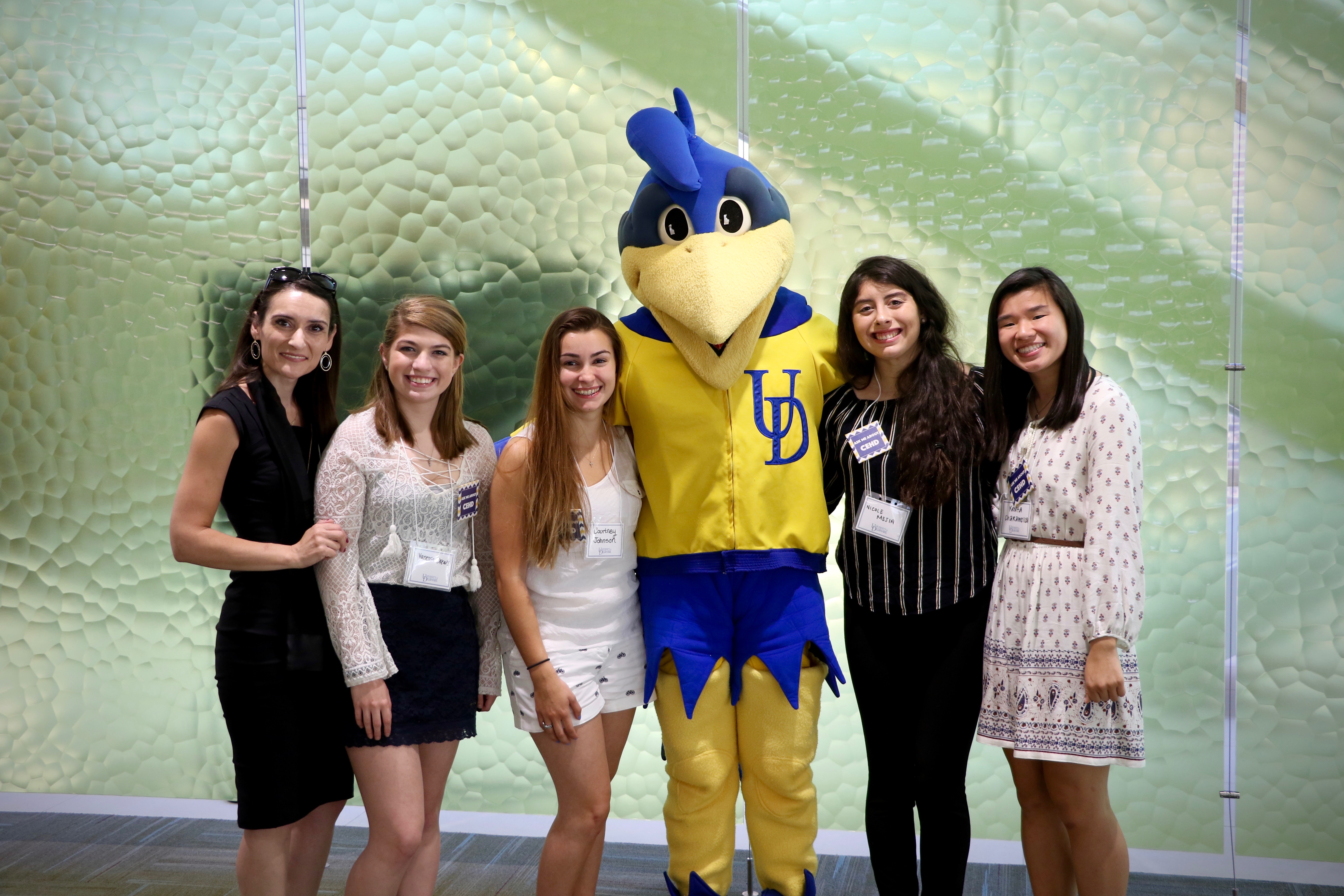 ud-blue-hen