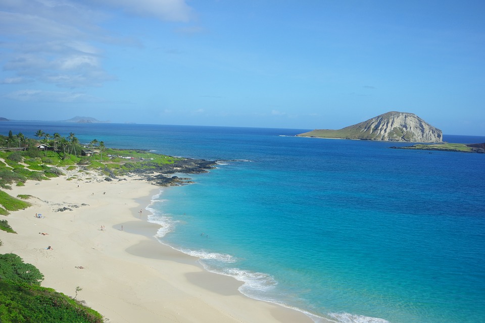 hawaii beach winter 2019 study abroad education program