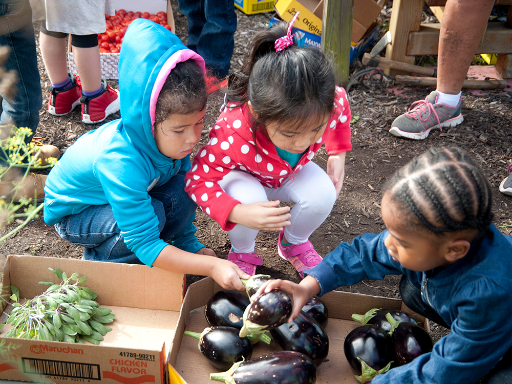 Three children examine vegetables at garden on UD campus