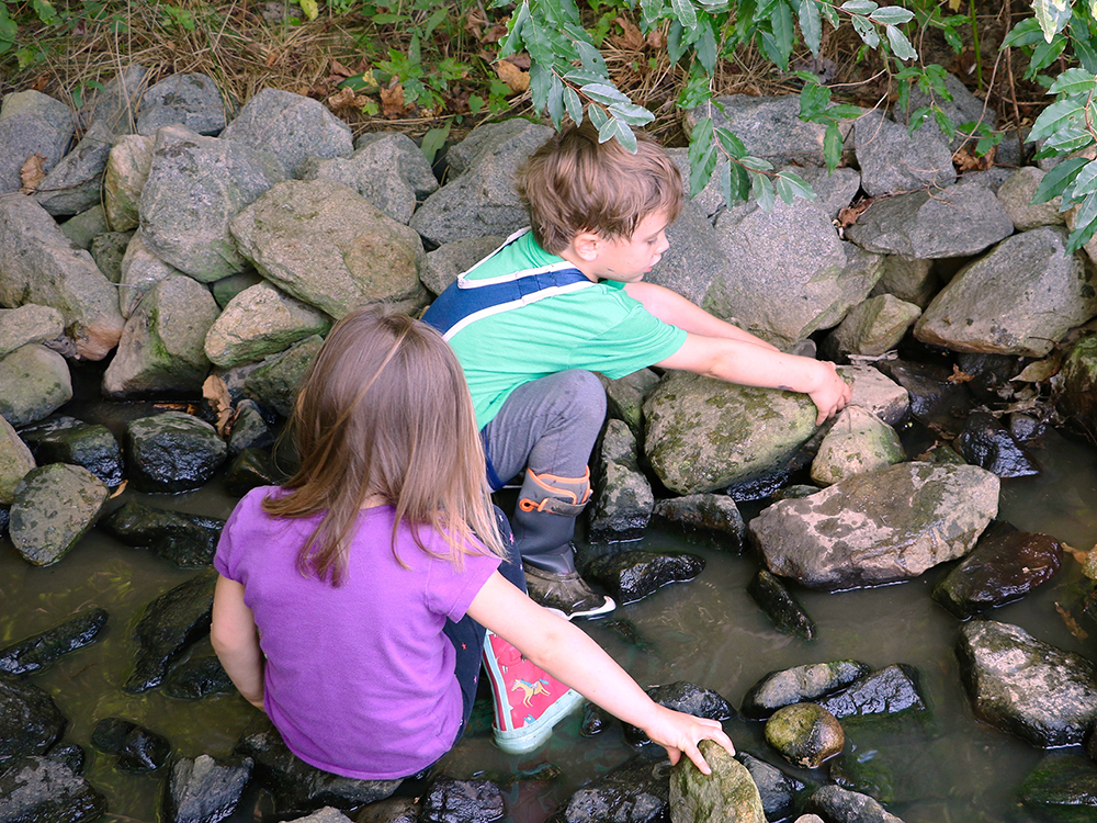 Two children look in creek for frogs
