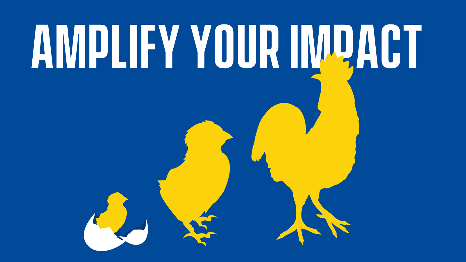 Amplify Your Impact