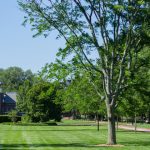 University of Delaware main campus in Newark, DE on Wednesday, June 16, 2021.