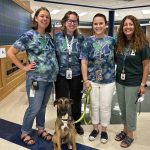 Lauren Dombrowski (second from left) with McKean High School school psychologists Missy Weyl, Elizabeth Mikolajczyk and Jessica Kradjel on the first day of the 2025-2026 school year. They also stand with a golden retriever.