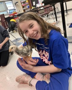 Joni Lazovick, a fifth grader, holds a chicken in Caroline Mann's classroom. “Mrs. Mann is really nice and she always understands if we need help with something,” said Joni Lazovick. “She always does so much for us and makes school fun!”