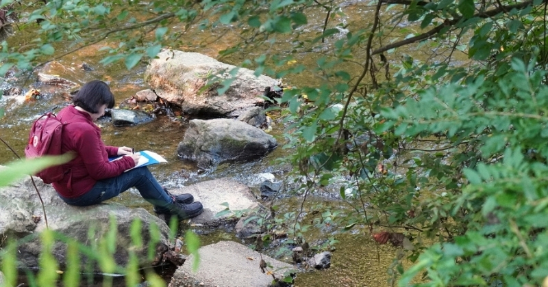Within walking distance of campus, White Clay Creek State Park offers scenery, serenity and scholarly opportunity. Here, a plant science student takes notes during a class field trip exploring native plants.